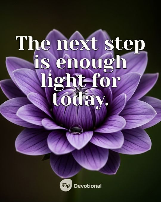 Fig Devotional keepsake card reading: The next step is enough light for today.