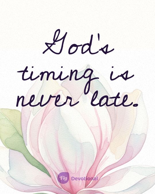 Fig Devotional keepsake card reading: God’s timing is never late.
