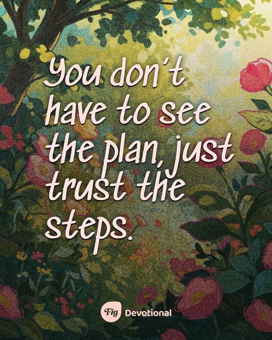 Fig Devotional keepsake card reading: You don’t have to see the plan, just trust the steps.